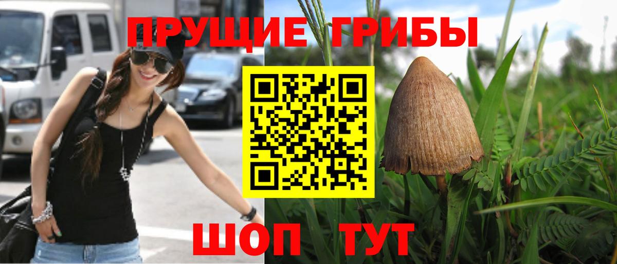 Галлюциногенные грибы ЛСД Калининград